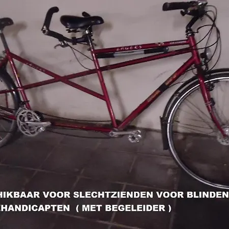 Nabij Station Op Begane Grond In Residentie Jane - Niet Goed Geld Terug Garantie - 10 Min Tot Brugge - Gratis Fietsenstalling
